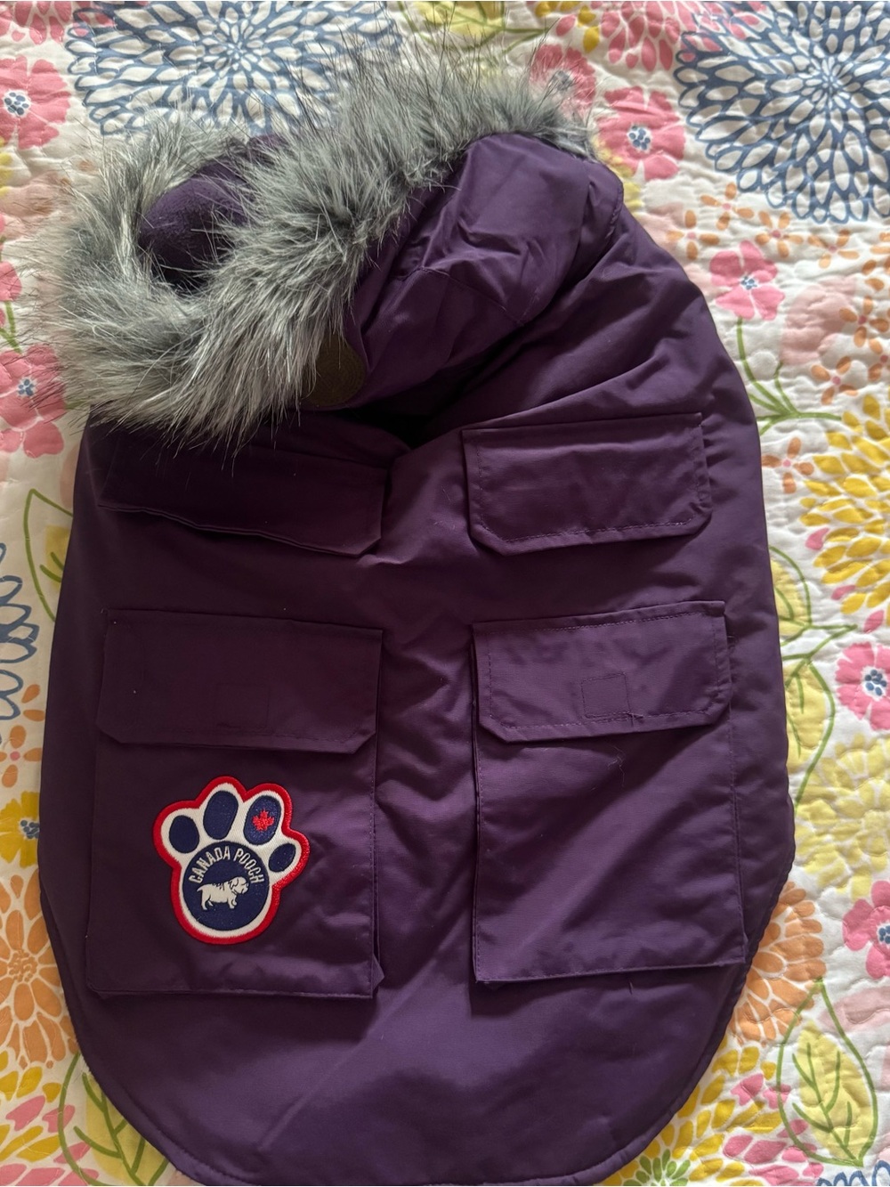 Size 18 Canada pooch purple dog jacket